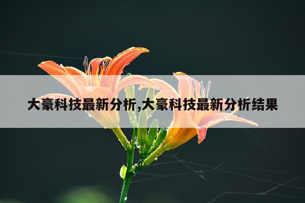 大豪科技最新分析,大豪科技最新分析结果