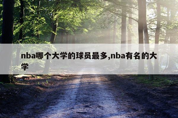 nba哪个大学的球员最多,nba有名的大学