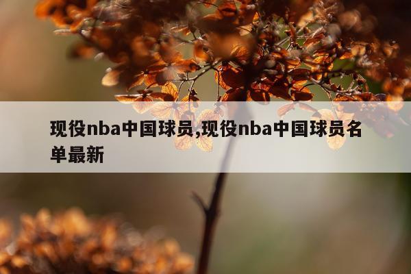 现役nba中国球员,现役nba中国球员名单最新
