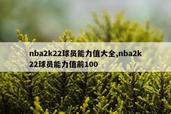 nba2k22球员能力值大全,nba2k22球员能力值前100