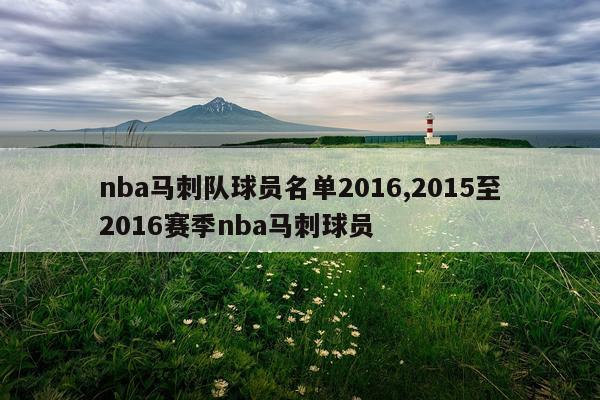 nba马刺队球员名单2016,2015至2016赛季nba马刺球员