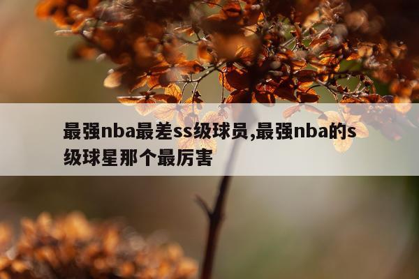 最强nba最差ss级球员,最强nba的s级球星那个最厉害