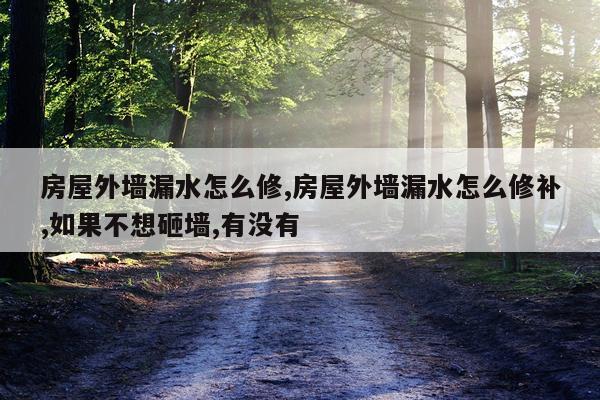 房屋外墙漏水怎么修,房屋外墙漏水怎么修补,如果不想砸墙,有没有