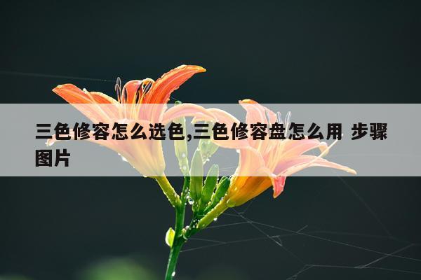 三色修容怎么选色,三色修容盘怎么用 步骤图片