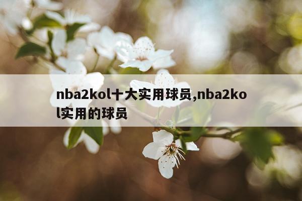 nba2kol十大实用球员,nba2kol实用的球员