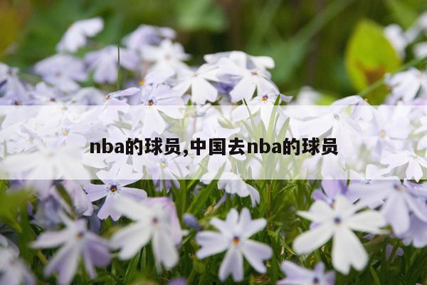 nba的球员,中国去nba的球员
