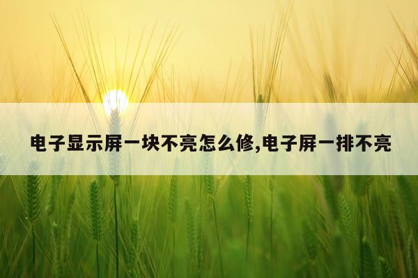 电子显示屏一块不亮怎么修,电子屏一排不亮