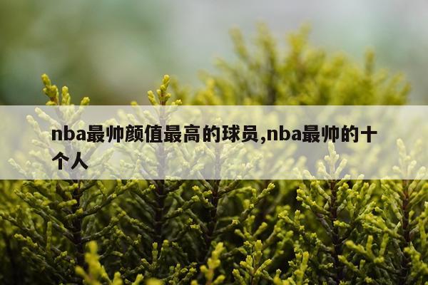 nba最帅颜值最高的球员,nba最帅的十个人