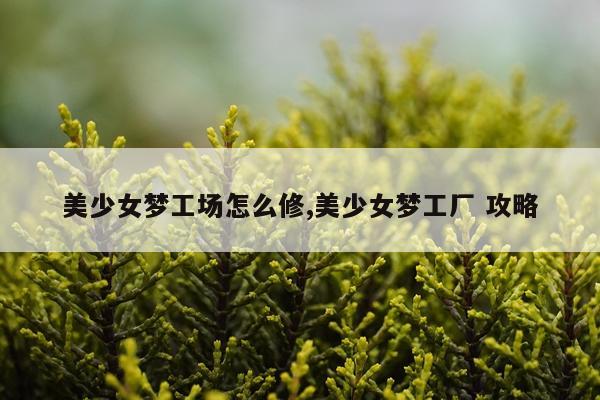 美少女梦工场怎么修,美少女梦工厂 攻略