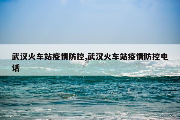 武汉火车站疫情防控,武汉火车站疫情防控电话