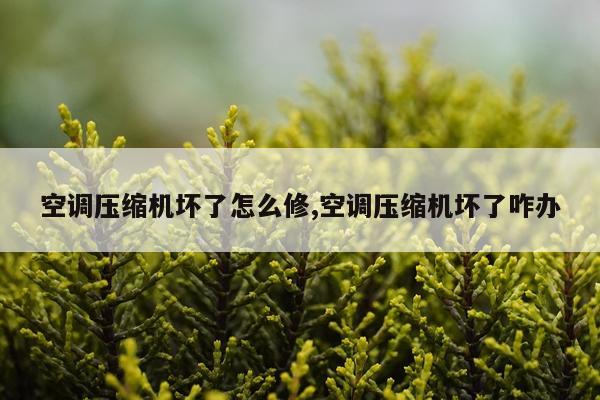 空调压缩机坏了怎么修,空调压缩机坏了咋办