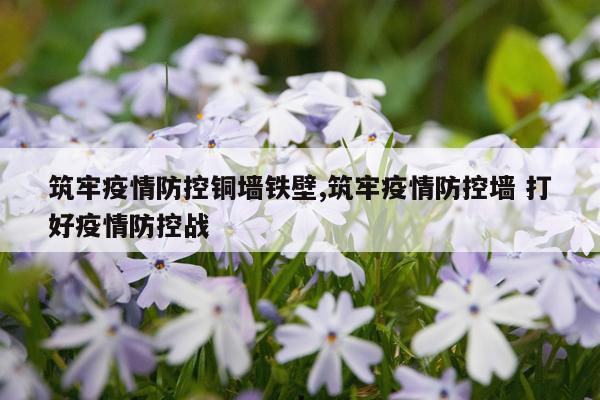 筑牢疫情防控铜墙铁壁,筑牢疫情防控墙 打好疫情防控战