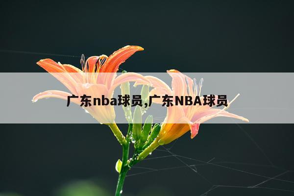 广东nba球员,广东NBA球员