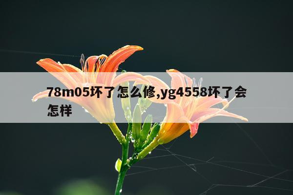 78m05坏了怎么修,yg4558坏了会怎样