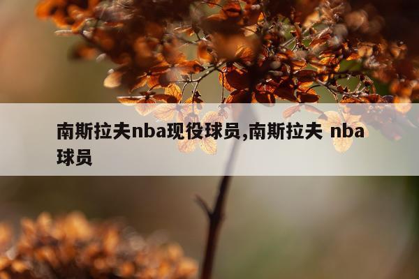 南斯拉夫nba现役球员,南斯拉夫 nba球员