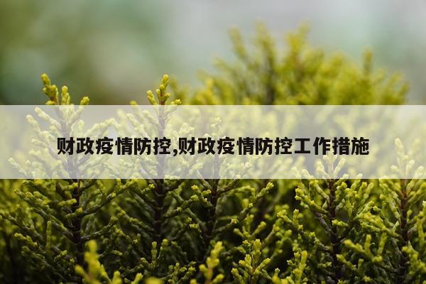 财政疫情防控,财政疫情防控工作措施