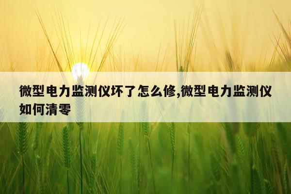微型电力监测仪坏了怎么修,微型电力监测仪如何清零
