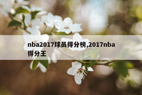 nba2017球员得分榜,2017nba得分王