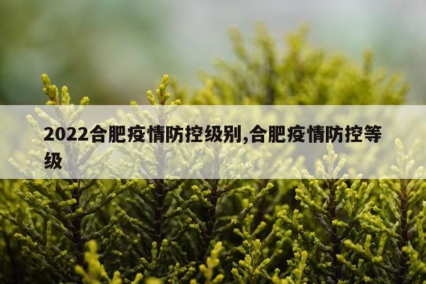 2022合肥疫情防控级别,合肥疫情防控等级
