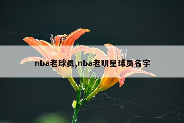nba老球员,nba老明星球员名字