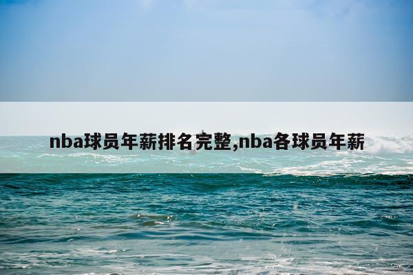 nba球员年薪排名完整,nba各球员年薪