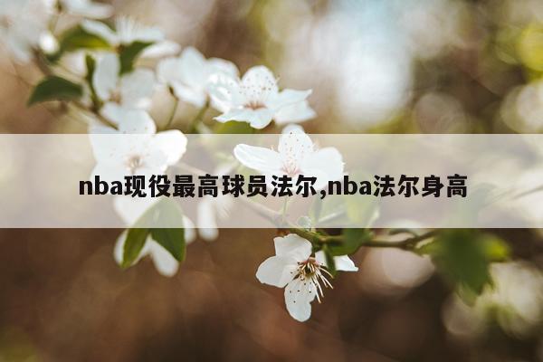 nba现役最高球员法尔,nba法尔身高