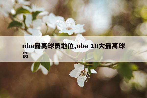 nba最高球员地位,nba 10大最高球员