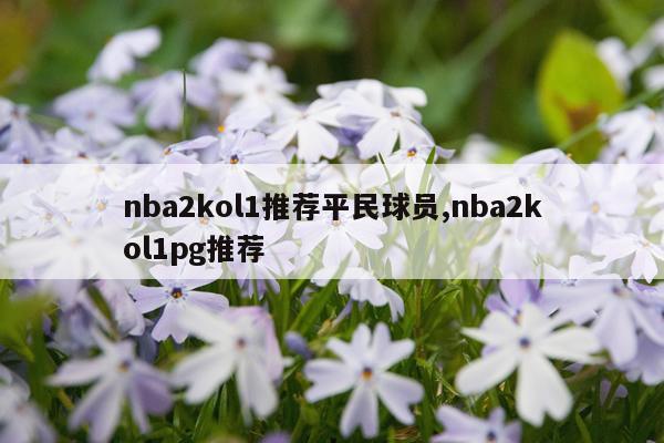 nba2kol1推荐平民球员,nba2kol1pg推荐