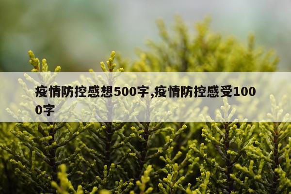 疫情防控感想500字,疫情防控感受1000字