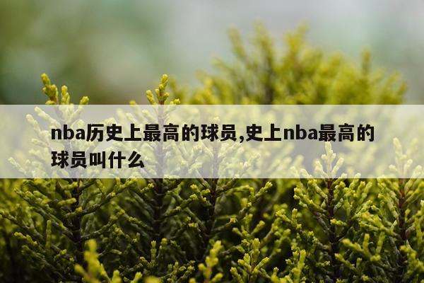 nba历史上最高的球员,史上nba最高的球员叫什么