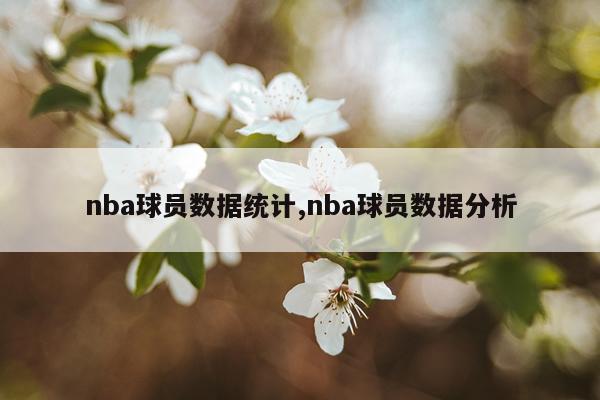 nba球员数据统计,nba球员数据分析