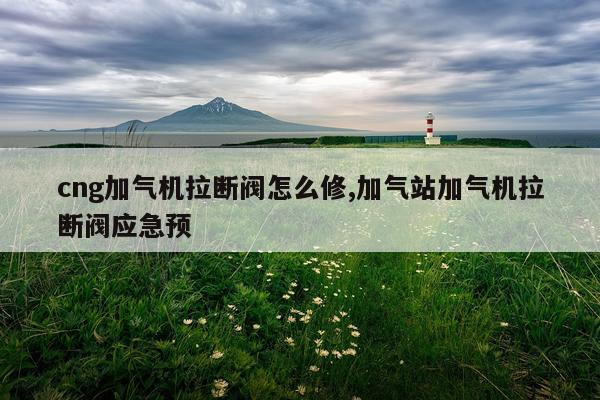 cng加气机拉断阀怎么修,加气站加气机拉断阀应急预