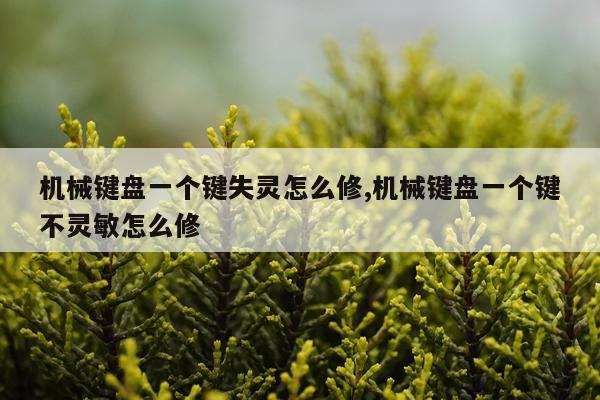 机械键盘一个键失灵怎么修,机械键盘一个键不灵敏怎么修