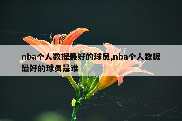 nba个人数据最好的球员,nba个人数据最好的球员是谁