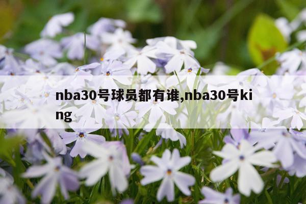 nba30号球员都有谁,nba30号king