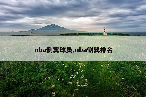 nba侧翼球员,nba侧翼排名