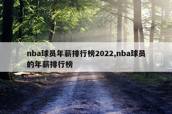 nba球员年薪排行榜2022,nba球员的年薪排行榜