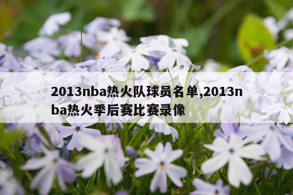 2013nba热火队球员名单,2013nba热火季后赛比赛录像