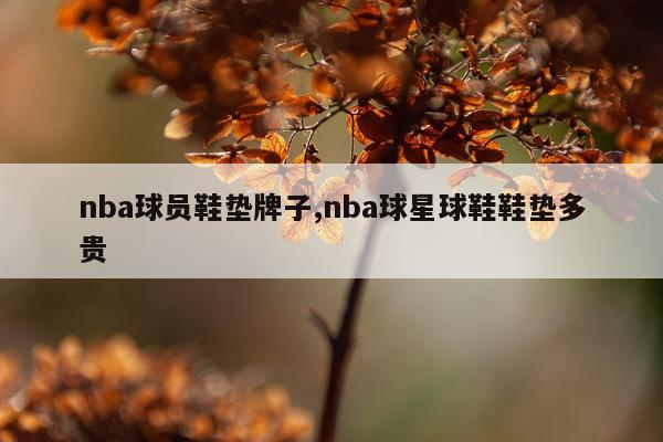 nba球员鞋垫牌子,nba球星球鞋鞋垫多贵