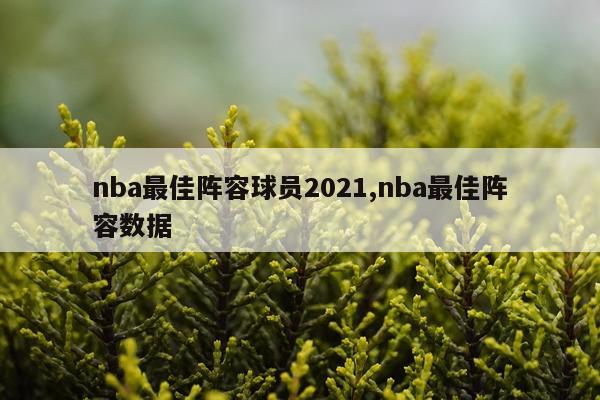nba最佳阵容球员2021,nba最佳阵容数据