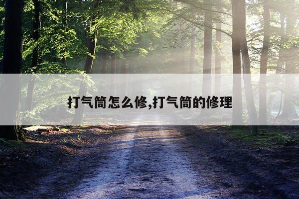 打气筒怎么修,打气筒的修理