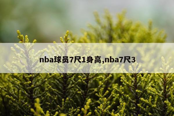 nba球员7尺1身高,nba7尺3