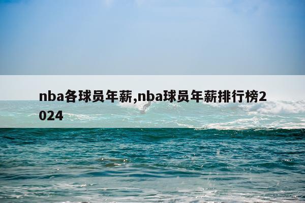nba各球员年薪,nba球员年薪排行榜2024