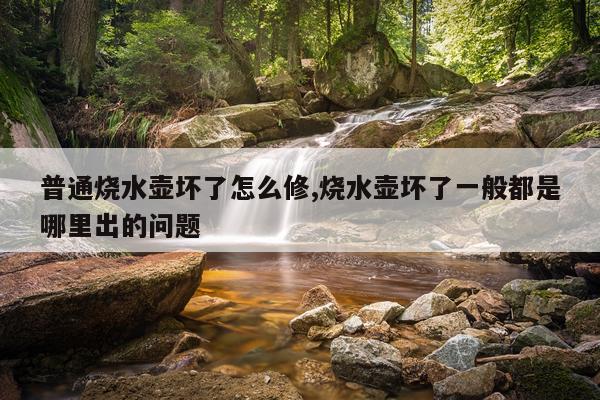 普通烧水壶坏了怎么修,烧水壶坏了一般都是哪里出的问题