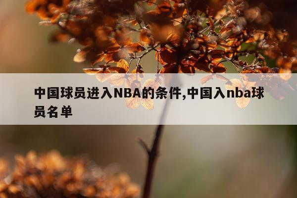 中国球员进入NBA的条件,中国入nba球员名单