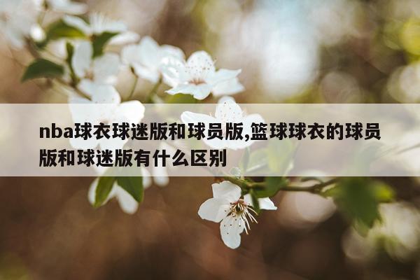 nba球衣球迷版和球员版,篮球球衣的球员版和球迷版有什么区别