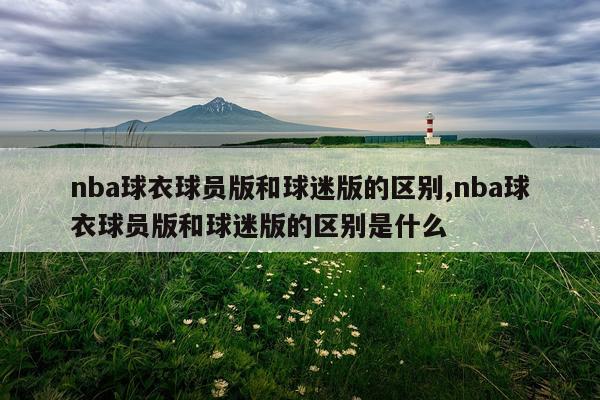 nba球衣球员版和球迷版的区别,nba球衣球员版和球迷版的区别是什么