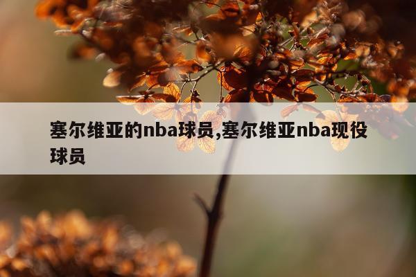 塞尔维亚的nba球员,塞尔维亚nba现役球员