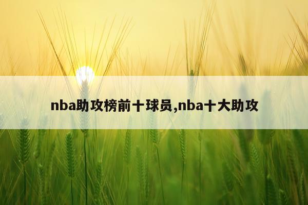 nba助攻榜前十球员,nba十大助攻