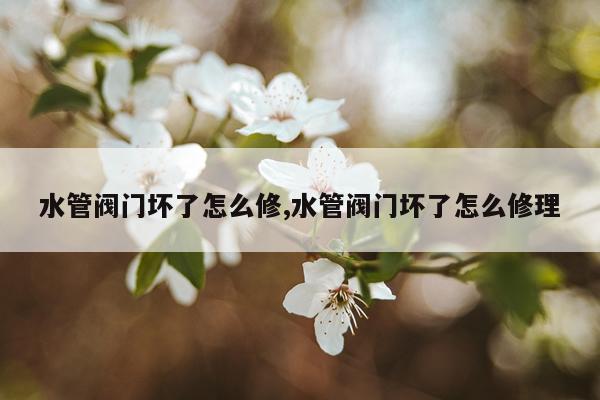 水管阀门坏了怎么修,水管阀门坏了怎么修理